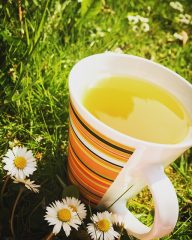 Tisane silhouette
