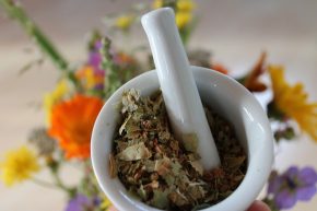 Tisane de la rentrée