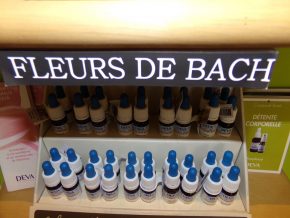 Une rentrée en douceur