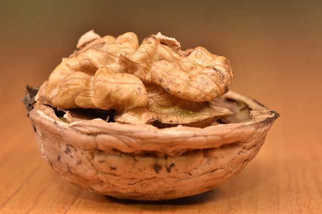 walnut-4807473_640