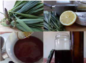 Sirop de plantain