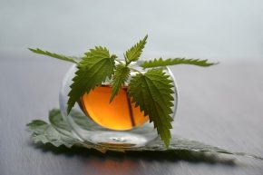 Tisane articulaire