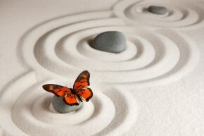 Une rentrée ZEN...